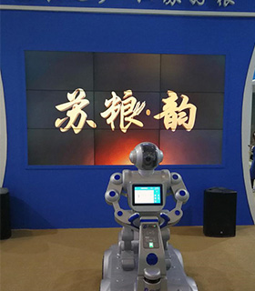 《靈帥》--中國·江蘇現(xiàn)代農(nóng)業(yè)科技大會的閃耀之星